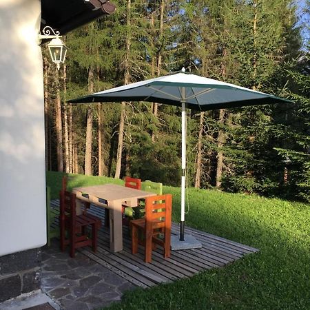 Il Finferlo Villa Bellamonte Buitenkant foto