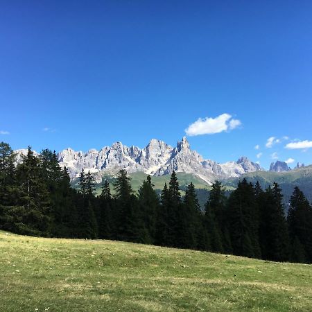 Il Finferlo Villa Bellamonte Buitenkant foto