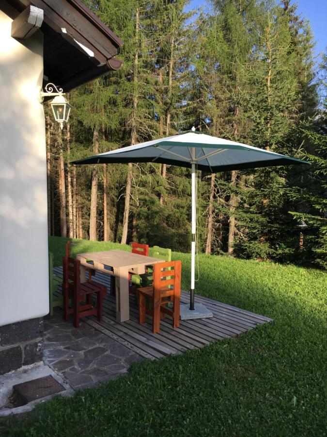 Il Finferlo Villa Bellamonte Buitenkant foto